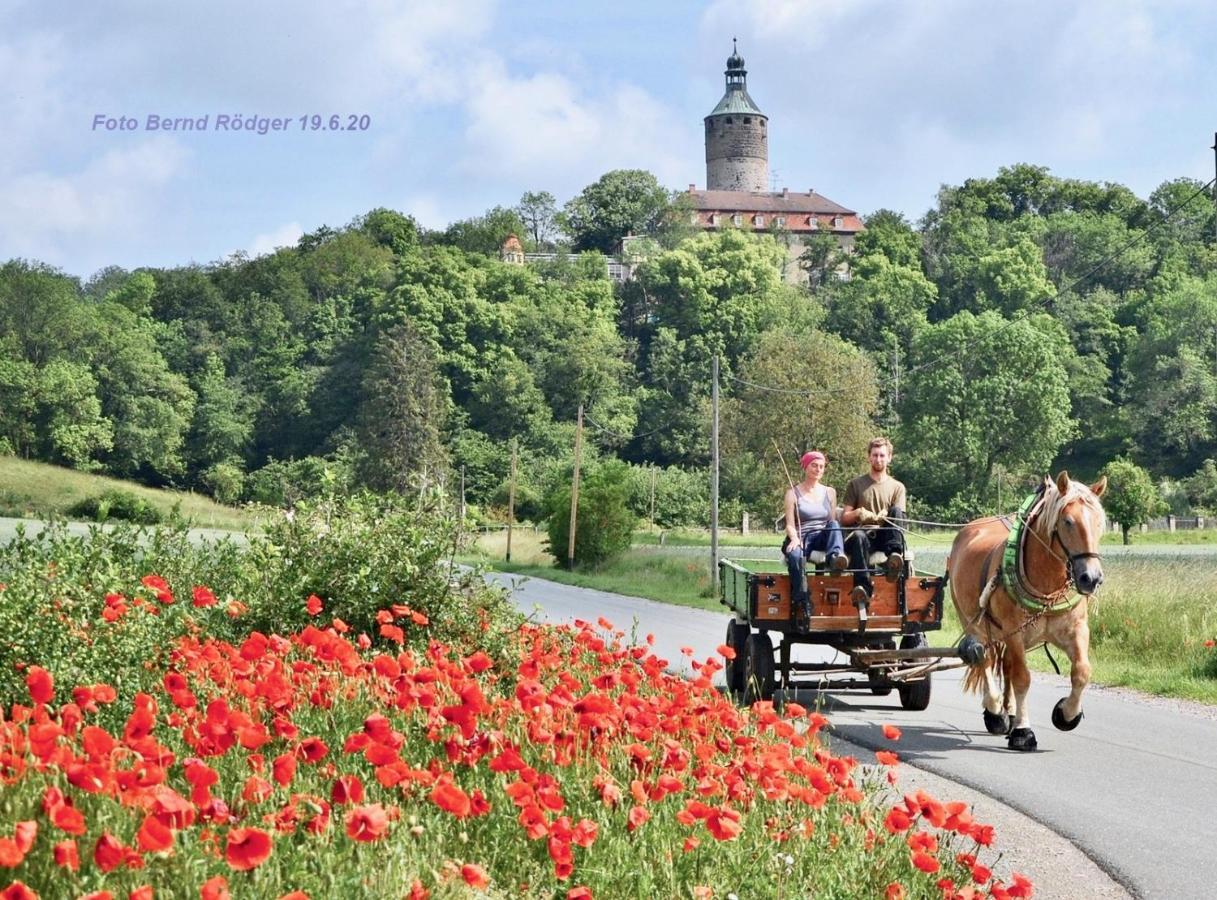 Pension Gruenes Herz Tonndorf Zewnętrze zdjęcie